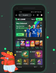 Explore the Exciting World of BC.GameBet App