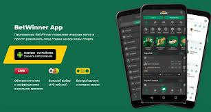 Exploring the Thrills of BetWinner Casino A Comprehensive Guide