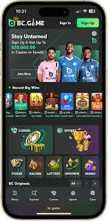 BC.Game Argentina Login Process A Comprehensive Guide -611468651